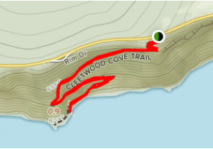 Crater Lake Map oregon Cleetwood Cove Trail oregon Alltrails