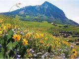 Crested butte Colorado Map Crested butte Colorado Map Lovely the top 10 Things to Do Near the