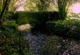 Creswell oregon Map File Woodland Path at Creswell Crags 5 Jpg Wikimedia Commons