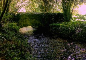 Creswell oregon Map File Woodland Path at Creswell Crags 5 Jpg Wikimedia Commons