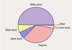 Crime Map Austin Texas Austin Texas Tx Profile Population Maps Real Estate Averages