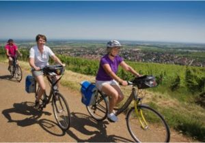 Cycling Maps France Via Romea Francigena Eurovelo