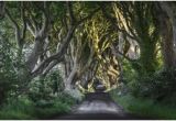 Dark Hedges Ireland Map 23 Best Dark Hedges Ireland Images In 2018