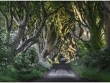 Dark Hedges Ireland Map 23 Best Dark Hedges Ireland Images In 2018