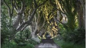 Dark Hedges Ireland Map 23 Best Dark Hedges Ireland Images In 2018