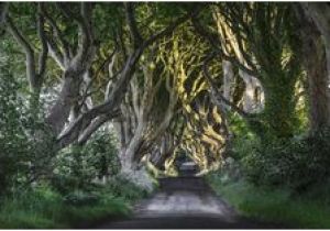 Dark Hedges Ireland Map 23 Best Dark Hedges Ireland Images In 2018