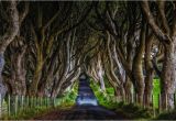 Dark Hedges Ireland Map Game Of Thrones Filming Locations You Can Visit In Real Life