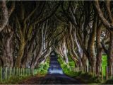 Dark Hedges Ireland Map Game Of Thrones Filming Locations You Can Visit In Real Life