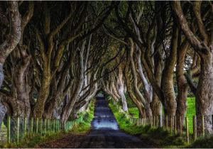 Dark Hedges Ireland Map Game Of Thrones Filming Locations You Can Visit In Real Life