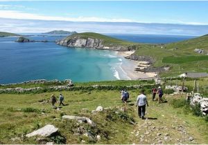 Dingle Bay Ireland Map the 10 Best Dingle tours Tripadvisor