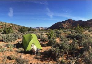 Dispersed Camping Colorado Map Camp for Free On Public Land Dispersed Camping 101 Gearjunkie