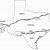 Dove Migration Map Texas Dove Texas Parks Wildlife Department