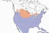 Dove Migration Map Texas Mourning Dove Range Map All About Birds Cornell Lab Of ornithology