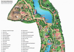 Dublin California Map Map Of Dublin Zoo Celtica In 2019 Pinterest Dublin Zoo Map