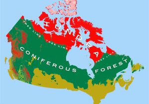 Ecozone Map Of Canada Canadian Arctic Tundra Wikipedia