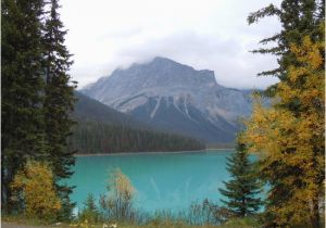 Emerald Lake Canada Map Emerald Lake Picture Of Emerald Lake Lodge Field