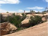 Enchanted Rock Texas Map Enchanted Rock State Natural area 753 Photos 231 Reviews Parks