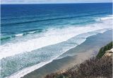 Encinitas California Map Einer Der Surfspots Bei Encinitas Picture Of Surfhouse Adventures