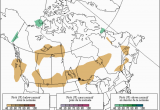 Environment Canada Lightning Map Burning B C Time to Fight Fire with Fire Says Expert Cbc News