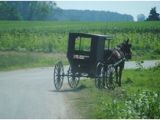 Ethridge Tennessee Amish Map 12 Delightful Amish In Ethridge Tn Images Amish Country Amish