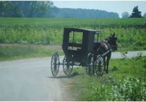 Ethridge Tennessee Amish Map 12 Delightful Amish In Ethridge Tn Images Amish Country Amish
