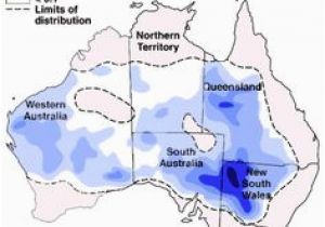 Europe Inside Australia Map Australia