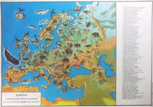 Europe Vegetation Map Natural Vegetation and Characteristic Wild Animals Of Europe