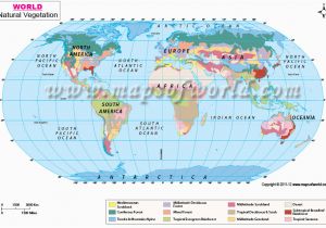 Europe Vegetation Map Vegetation Map Of the World Cyndiimenna