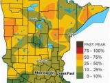 Fall Color Map Minnesota 30 Best Fall In Minnesota Images Autumn Leaves Autumn Trees Fall