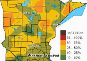 Fall Color Map Minnesota 30 Best Fall In Minnesota Images Autumn Leaves Autumn Trees Fall
