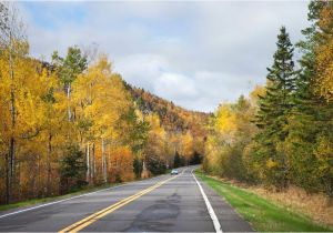 Fall Color Map Minnesota Autumn In Minnesota where and when to See the Fall Foliage