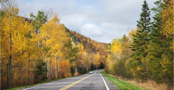 Fall Color Map Minnesota Autumn In Minnesota where and when to See the Fall Foliage