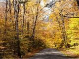 Fall Foliage New England Map A Scenic Drive In Western Maine New England Fall Foliage