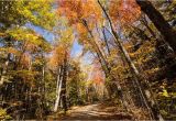 Fall Foliage New England Map A Scenic Drive In Western Maine New England Fall Foliage