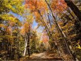 Fall Foliage New England Map A Scenic Drive In Western Maine New England Fall Foliage