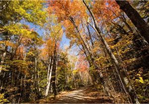 Fall Foliage New England Map A Scenic Drive In Western Maine New England Fall Foliage