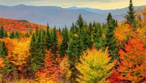 Fall Foliage New England Map How to See New England Fall Foliage at Its Peak