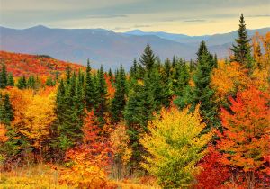 Fall Foliage New England Map How to See New England Fall Foliage at Its Peak