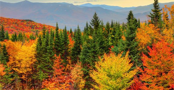 Fall Foliage New England Map How to See New England Fall Foliage at Its Peak