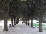 Fermo Italy Map the 15 Best Things to Do In Fermo 2019 with Photos Tripadvisor