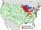 Fishing Hot Spots Maps Minnesota Rusty Crayfish A Nasty Invader Minnesota Sea Grant