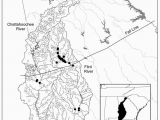 Flint River Georgia Map Distribution Of Percina Crypta Closed Circles Chattahoochee and