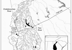 Flint River Georgia Map Distribution Of Percina Crypta Closed Circles Chattahoochee and