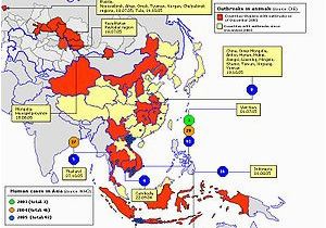 Flu Map Canada Global Spread Of H5n1 Wikipedia
