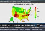 Flu Map Tennessee Flu Cases On the Rise In East Tennessee Wbir Com