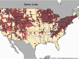 Fly Fishing Tennessee Map Brown Trout Salmo Trutta Species Profile