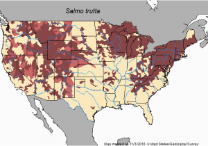 Fly Fishing Tennessee Map Brown Trout Salmo Trutta Species Profile