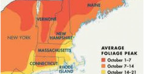 Foliage Map New England 2014 8 Best Autumn Foliage Maps Images In 2014 Fall Foliage Map