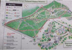 Forests In England On A Map Information Board Picture Of Sherwood forest Visitor