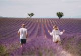 France Lavender Fields Map south Of France Provence Guide Find Us Lost